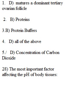 Exam 4